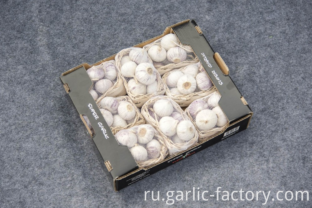 Top Quality Chinese Solo Garlic On Sale